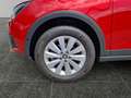 SEAT Arona 1.0 TSI Xcellence *LED*Allwetter*SHZ* Roşu - thumbnail 15