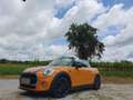 MINI Cooper Cabrio MINI Cooper Cabrio Cooper Gelb - thumbnail 3