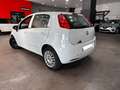 Fiat Punto 1.3 Multijet Active Blanco - thumbnail 5