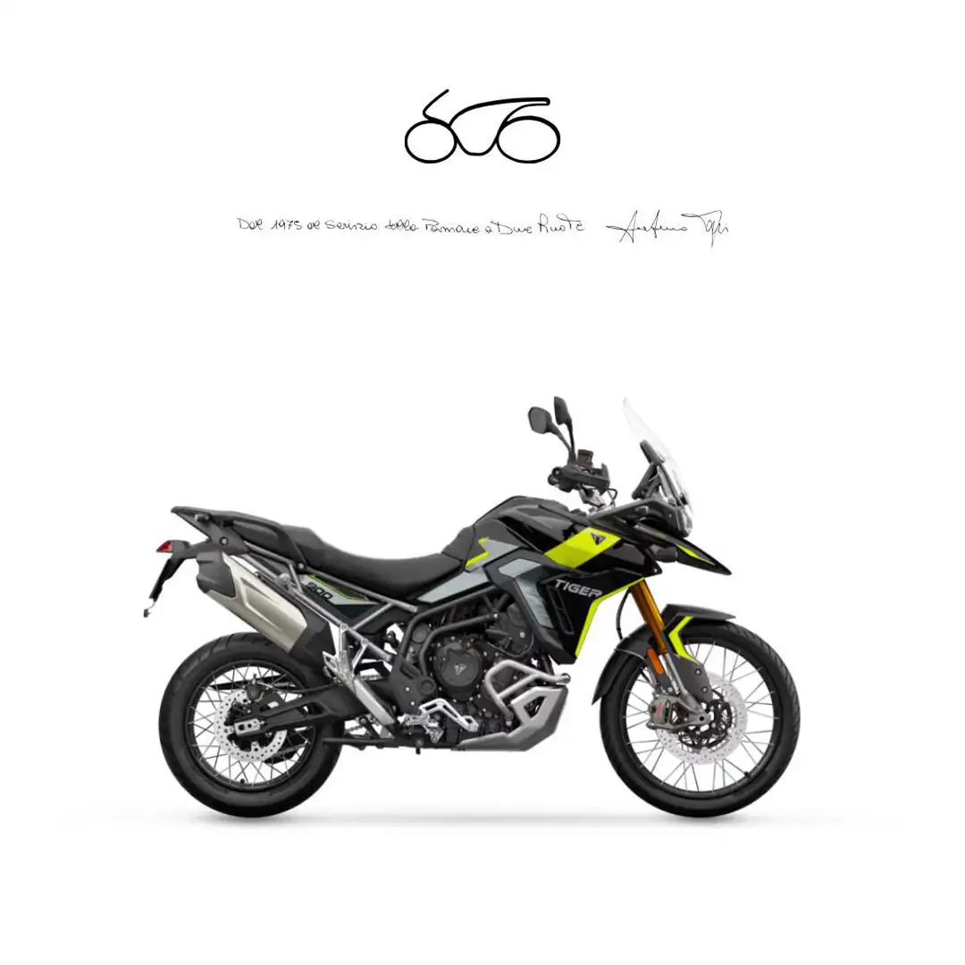 Triumph Tiger 900 2024 Verde - 1
