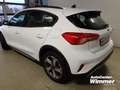 Ford Focus 1.5 EcoBoost ACTIVE Weiß - thumbnail 4