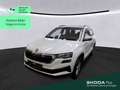 Skoda Karoq Style 2.0 TDI 4x4 DSG*NAVI*PANO*AHK*KAM*Vi Weiß - thumbnail 1