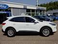 Ford Kuga Plug-In Hybrid Titanium  AHK+LED+WINTERP.+NAVI Blanc - thumbnail 6