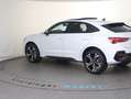 Audi Q3 40 TDI quattro S line ext. Weiß - thumbnail 21