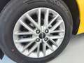 Kia Rio 1.2 Drive Amarillo - thumbnail 15