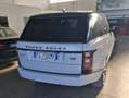 Land Rover Range Rover Range Rover IV 2013 3.0 tdV6 HSE auto my16 E6 Alb - thumbnail 6