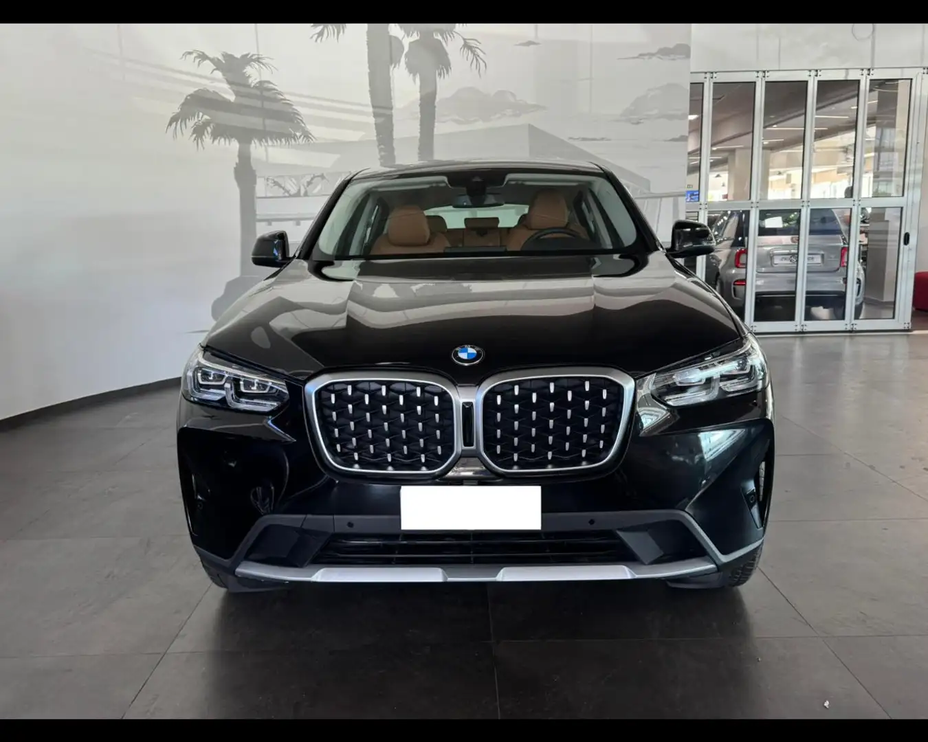 BMW X4 (G02/F98) xDrive20d 48V Schwarz - 2