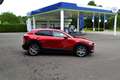 Mazda CX-30 2.0 e-SkyActiv-G M Hybrid, Automaat, Navi, Bose, L Rood - thumbnail 21