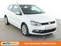Volkswagen Polo 1.2 TSI Highline BlueMotion Tech *PDC*SHZ*KLIMA* Blanco - thumbnail 8