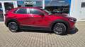 Mazda CX-30 2.5L e-SKYACTIV G 140ps Prime-Line FWD Rot - thumbnail 2