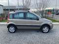 Fiat Panda 1.2 Climbing Natural Power Bronze - thumbnail 4