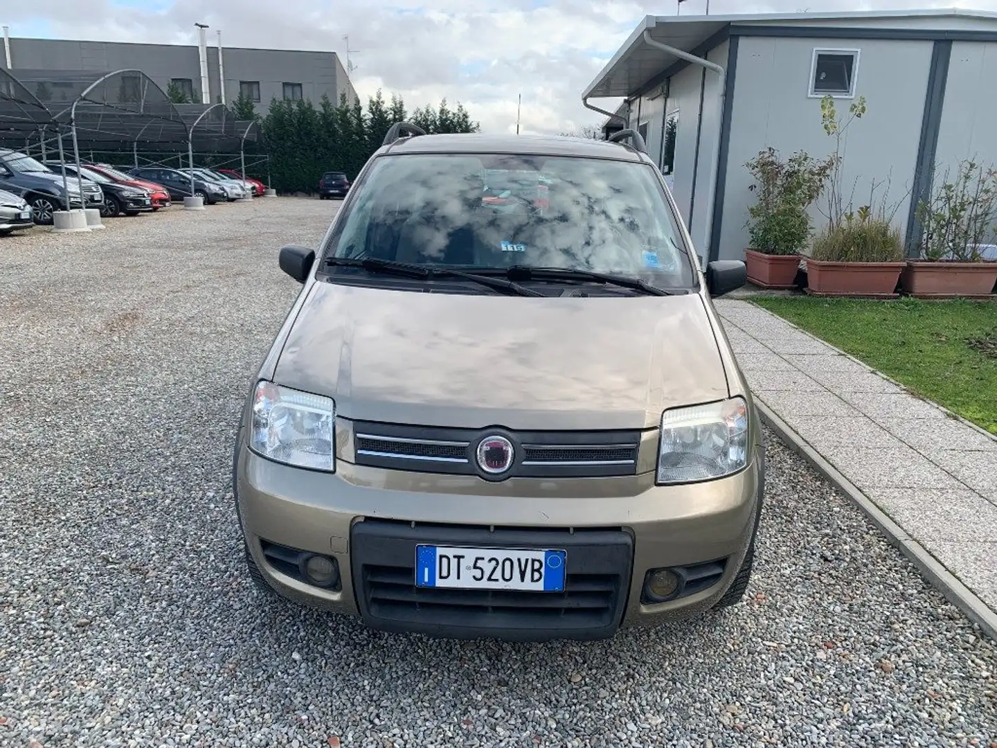 Fiat Panda 1.2 Climbing Natural Power Bronze - 2