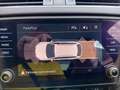 Skoda Octavia 1.6 TDI DSG Ambition Kombi Weiß - thumbnail 19