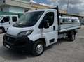 Fiat Ducato 35 MH1 2.3 M-JET CASSONE 3 POSTI - 2020 Wit - thumbnail 7
