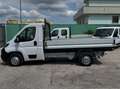 Fiat Ducato 35 MH1 2.3 M-JET CASSONE 3 POSTI - 2020 Wit - thumbnail 6