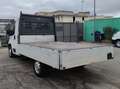 Fiat Ducato 35 MH1 2.3 M-JET CASSONE 3 POSTI - 2020 Wit - thumbnail 16