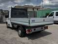 Fiat Ducato 35 MH1 2.3 M-JET CASSONE 3 POSTI - 2020 Wit - thumbnail 5