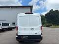 Ford Transit Transit Kasten 2,0 EcoBlue L3H2 350 Trend Weiß - thumbnail 7