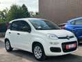 Fiat Panda Pop*TÜV*INSPEKTION* Weiß - thumbnail 5