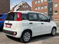 Fiat Panda Pop*TÜV*INSPEKTION* Weiß - thumbnail 13