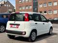 Fiat Panda Pop*TÜV*INSPEKTION* Weiß - thumbnail 14