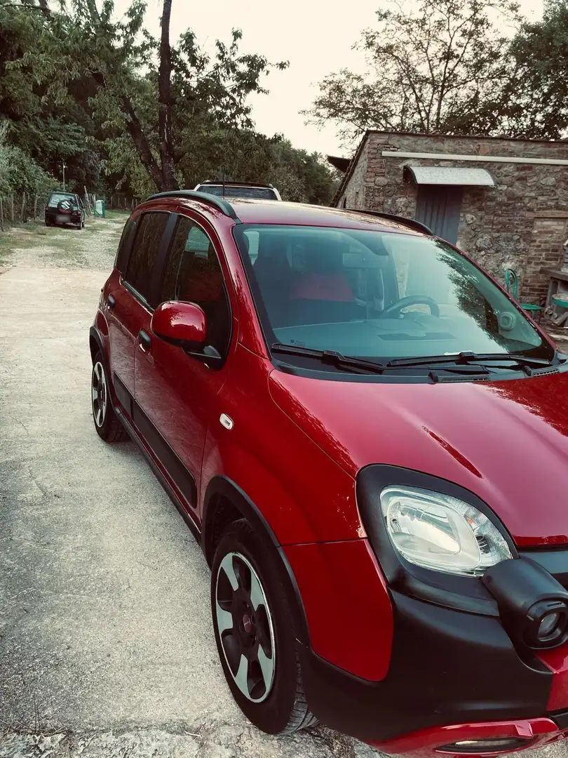 Fiat Panda Panda 1.0 firefly hybrid city croos Rosso - 1