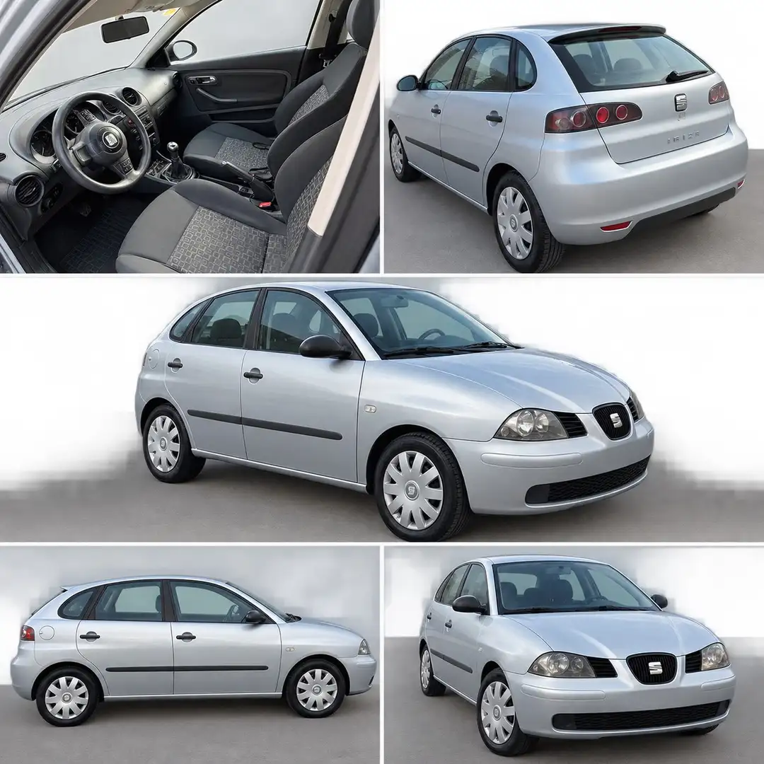 SEAT Ibiza 1.4TDi Tentación 80 - 1