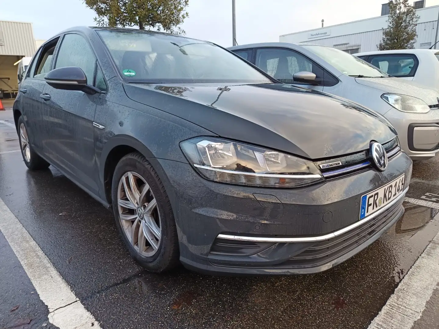 Volkswagen Golf VII Lim. Comfortline BlueMotion DSG Gris - 1