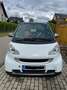 smart forTwo smart fortwo coupe softouchpassion micro hybrid dr Bianco - thumbnail 1
