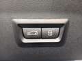 BMW X4 xDrive20i M Sportpaket*HIFI*ACC*adapLED*PDC* Gris - thumbnail 15