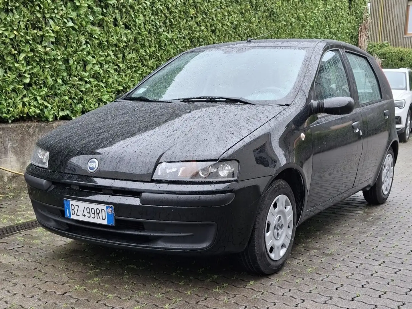 Fiat Punto 5p 1.2 Feel - 1