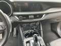 Alfa Romeo Stelvio Stelvio 2023 2.2 t Veloce Q4 210cv auto Blu/Azzurro - thumbnail 15