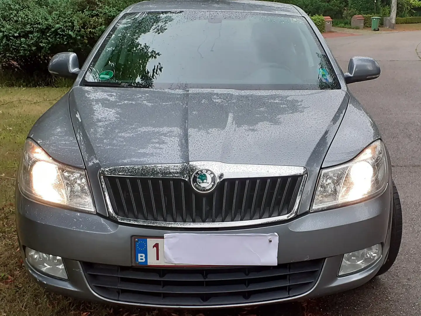 Skoda Octavia Octavia 1.6 TDI DPF Ambition Серый - 1