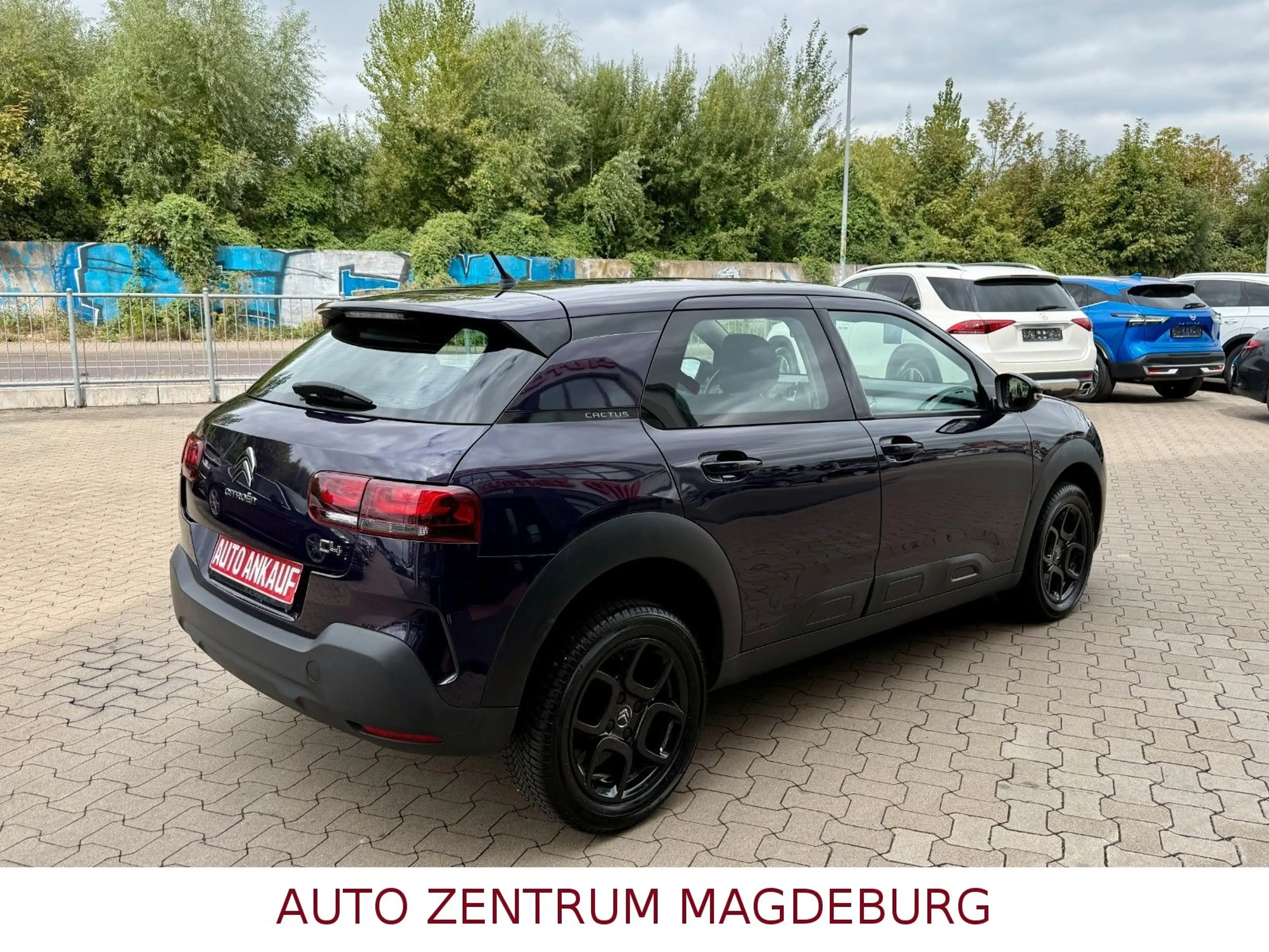 Citroen C4 Cactus Feel *TEMPOMAT*USB*BLUETOOTH* — photo 6