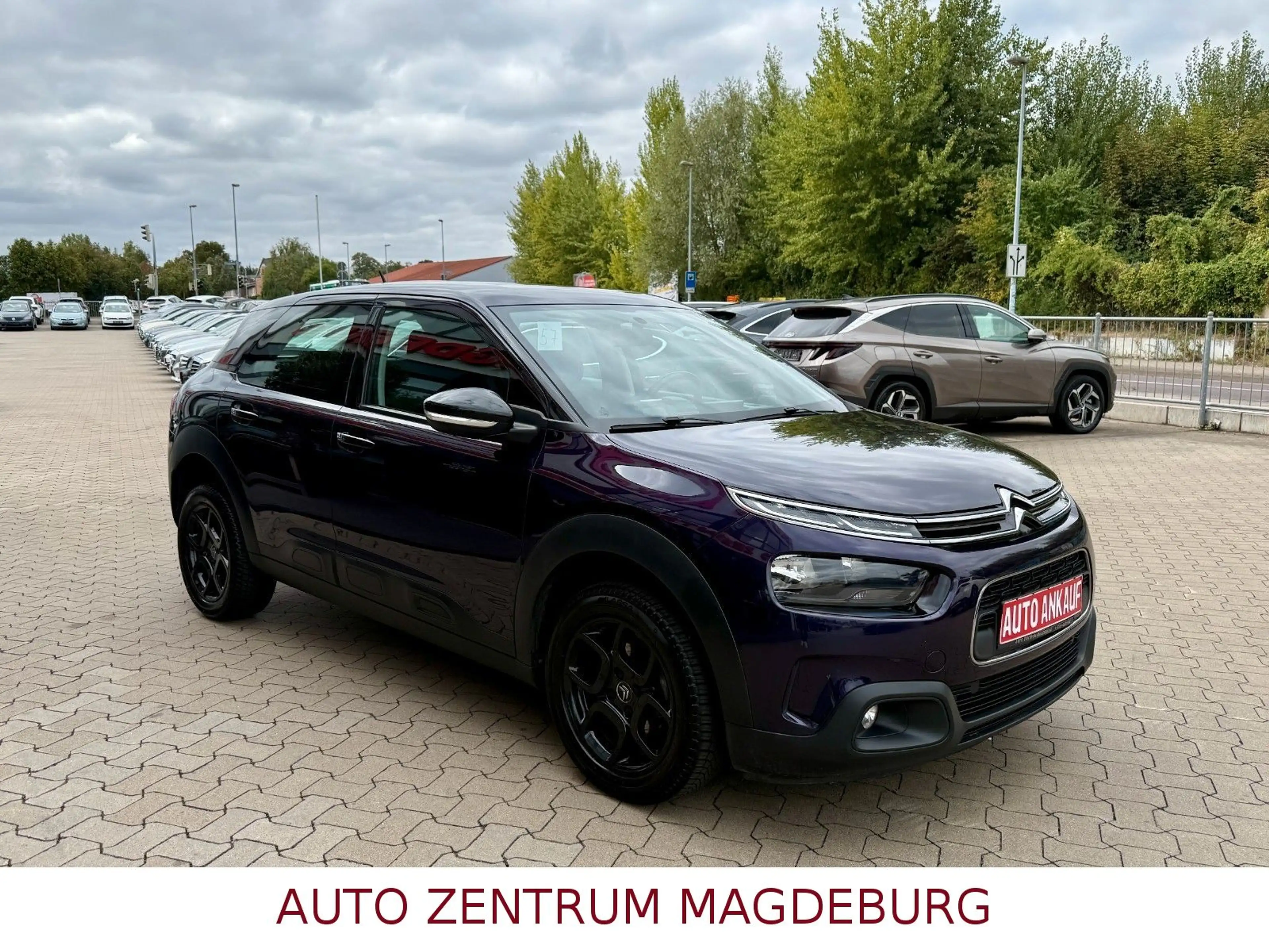 Citroen C4 Cactus Feel *TEMPOMAT*USB*BLUETOOTH* — photo 4