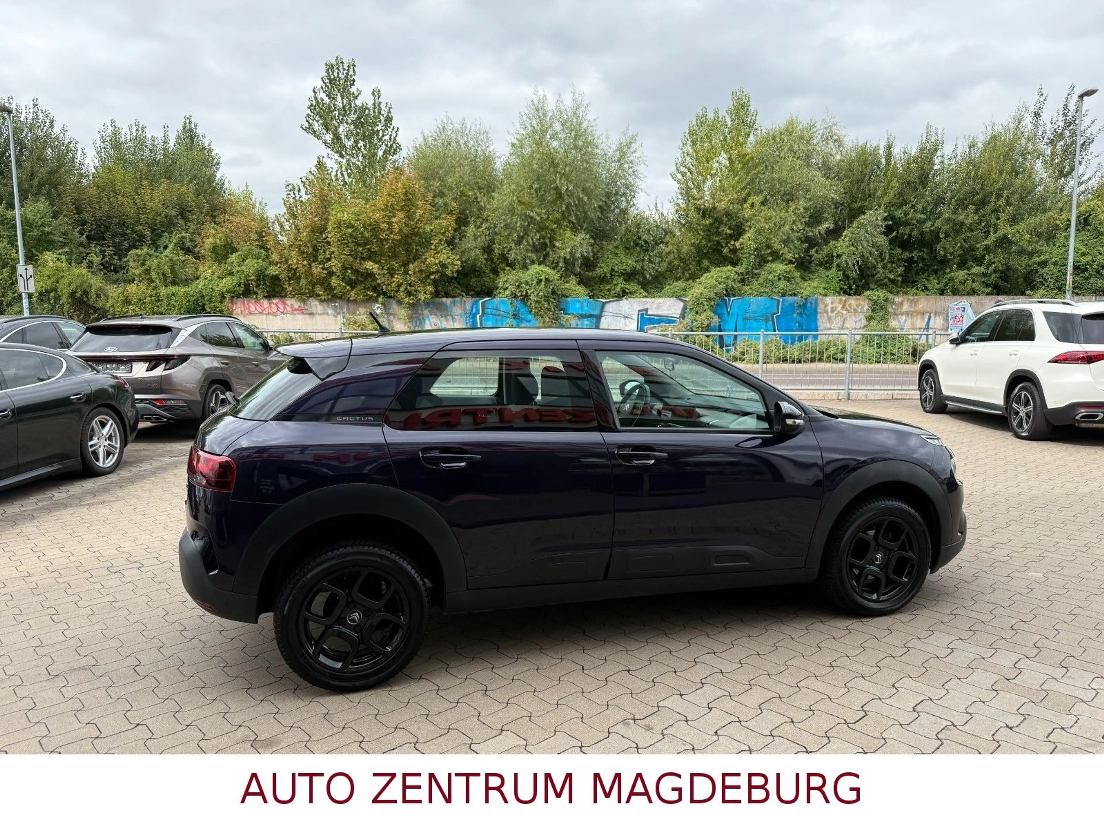 Citroen C4 Cactus Feel *TEMPOMAT*USB*BLUETOOTH* — photo 5