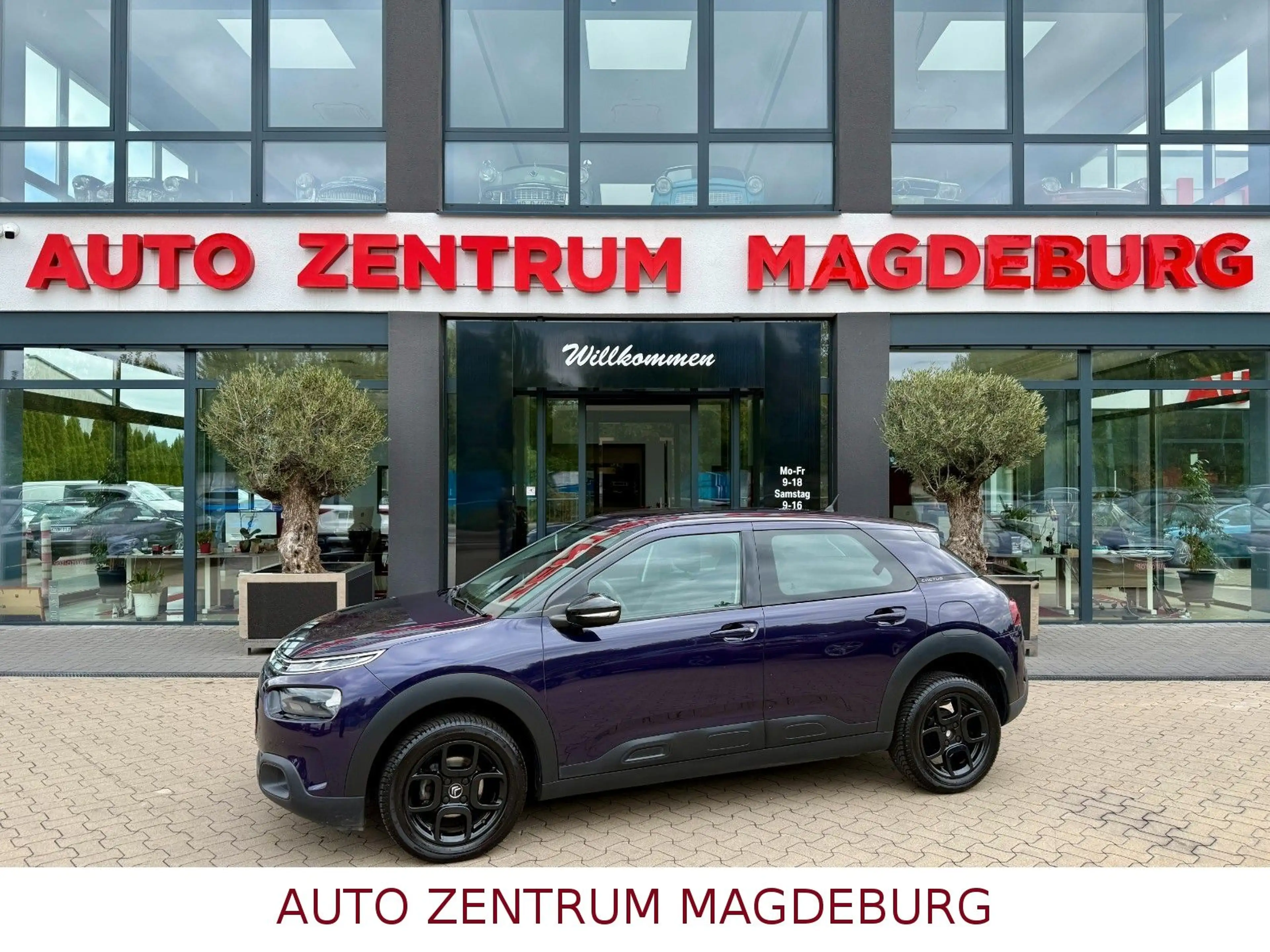 Citroen C4 Cactus Feel *TEMPOMAT*USB*BLUETOOTH*