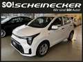 Kia Picanto 1,0 GDI Titan (5 Sitzer) Weiß - thumbnail 2