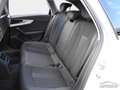 Audi A4 Avant 40 TDI Quattro S-Tronic Advanced FULL Argento - thumbnail 11