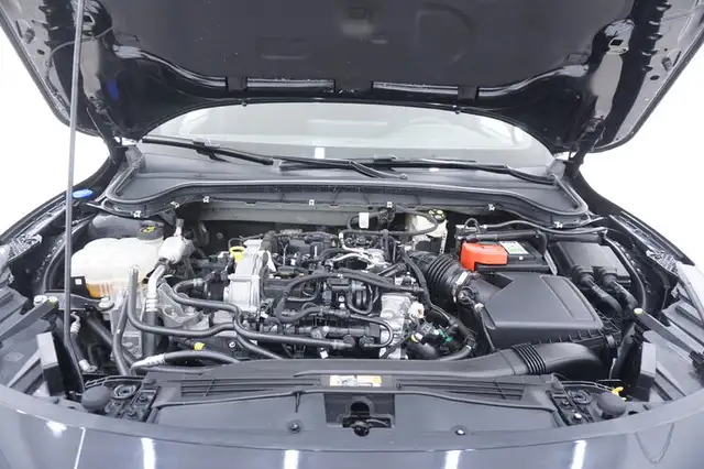 Ford Focus view 13