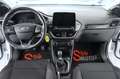Ford Puma 1.0 EcoBoost Hybrid 125 CV S&S aut. Titanium Desig Bianco - thumbnail 5