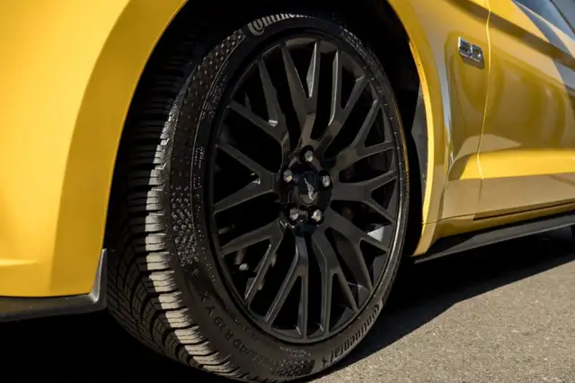 Ford Mustang view 11