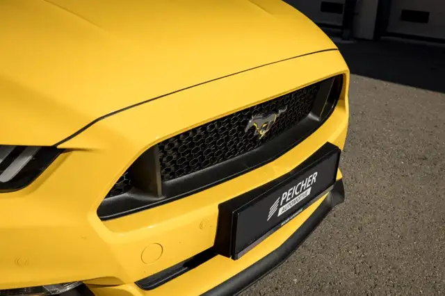 Ford Mustang view 13