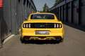 Ford Mustang GT Fastback 5,0 L V8 AT RWD Gelb - thumbnail 5