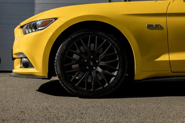 Ford Mustang view 10