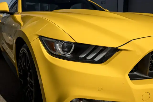 Ford Mustang view 14