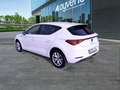 SEAT Leon 2.0 TDI 85kW S&S Style Go - thumbnail 6