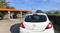Opel Corsa 1,2 Sport - thumbnail 5