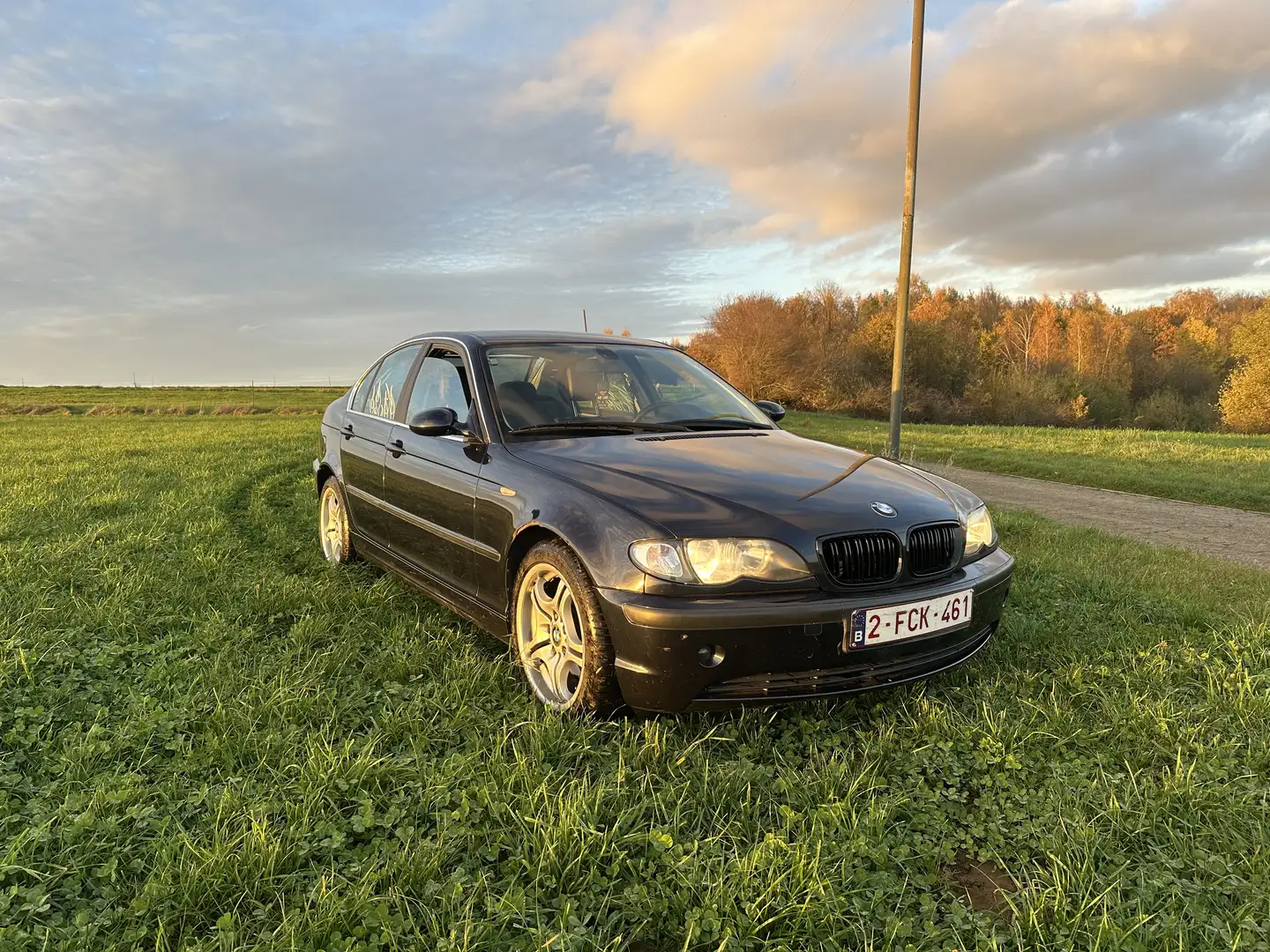 BMW 323 320i - 2