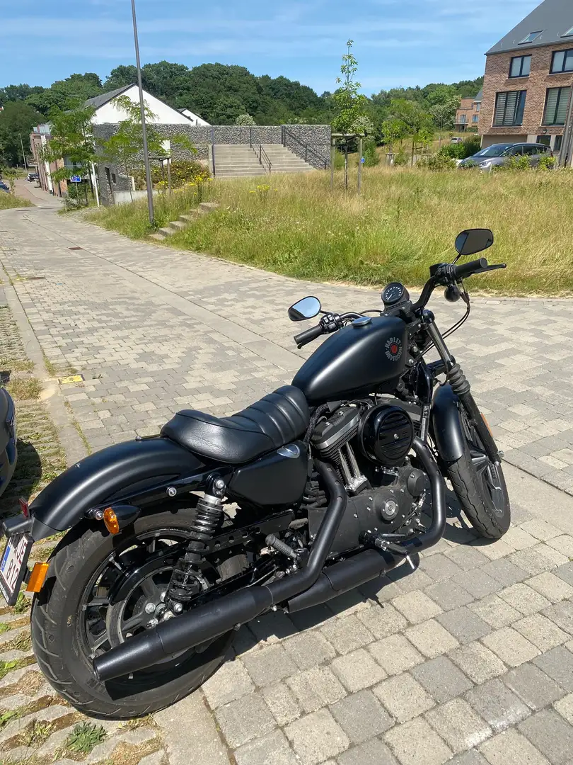 Harley-Davidson Iron 883 Zwart - 2